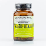 Organic India AMLA 1000mg